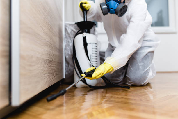 Best Wasp Removal Services  in Jackson, TN