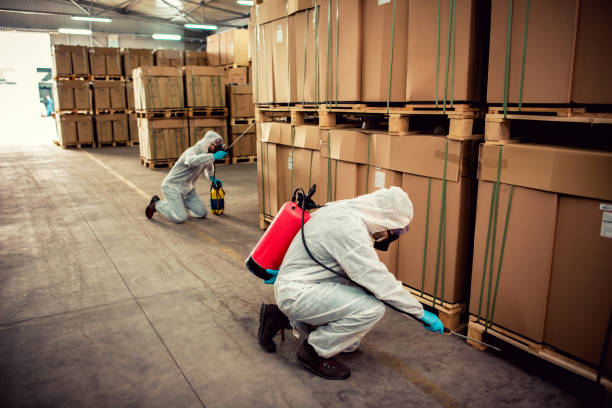 Best Pest Removal Services  in Jackson, TN
