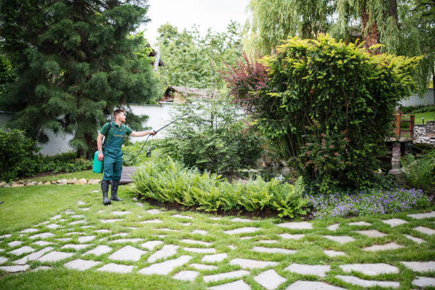 Best Commercial Pest Control Services  in Jackson, TN