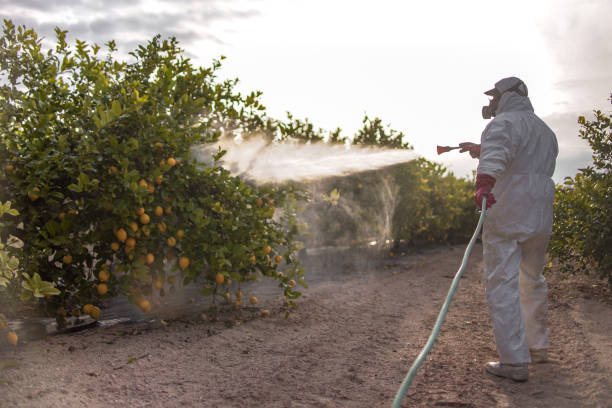 Best Wildlife Control Services  in Jackson, TN