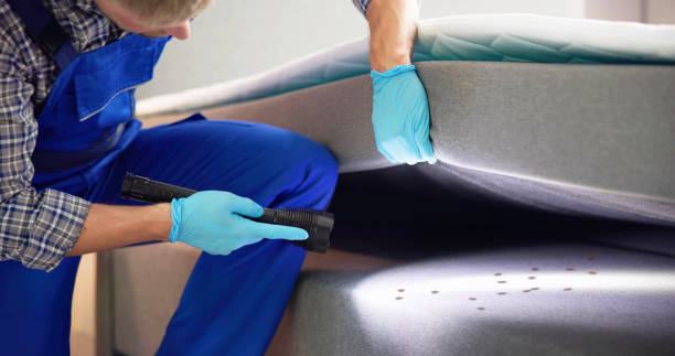 Best Best Pest Control Companies  in Jackson, TN