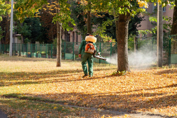 Best Mosquito Control Services  in Jackson, TN